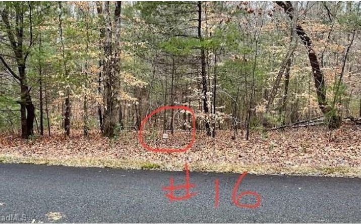Pictures of Land, Multifamily property located at Lot 16 Woods Haven Lane, Stuart, VA 24171 for sales - image #1