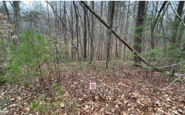 Pictures of Land, Multifamily property located at Lot 18 Woods Haven Lane, Stuart, VA 24171 for sales - image #1