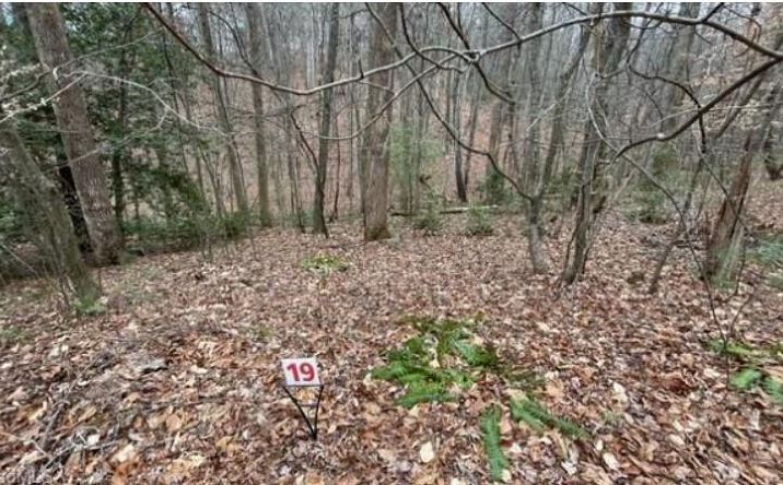 Pictures of Land, Multifamily property located at Lot 19 Woods Haven Lane, Stuart, VA 24171 for sales - image #1