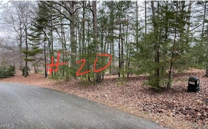 Pictures of Land, Multifamily property located at Lot 20 Woods Haven Lane, Stuart, VA 24171 for sales - image #1