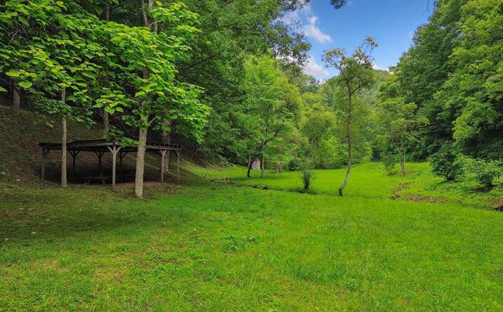 Pictures of Land, Multifamily property located at TBD Thompson Creek Road, Honaker, VA 24260 for sales - image #1