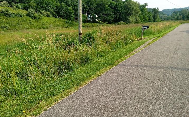 Pictures of Land, Multifamily property located at 3323 Rugby Road, Mouth of Wilson, VA 24363 for sales - image #1