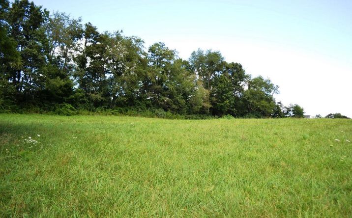 Pictures of Land, Multifamily property located at Lot 19 S Petunia Road, Wytheville, VA 24382 for sales - image #1
