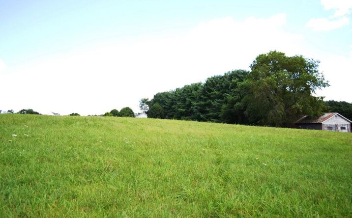 Pictures of Land, Multifamily property located at Lot 20 S Petunia Road, Wytheville, VA 24382 for sales - image #1