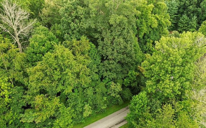 Pictures of Land, Multifamily property located at TBD Stonewall Ridge Lot #24, Bristol, VA 24202 for sales - image #1