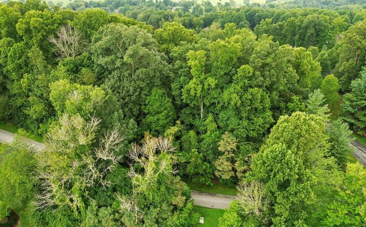 Pictures of Land, Multifamily property located at TBD Stonewall Ridge Lot #23, Bristol, VA 24202 for sales - image #1