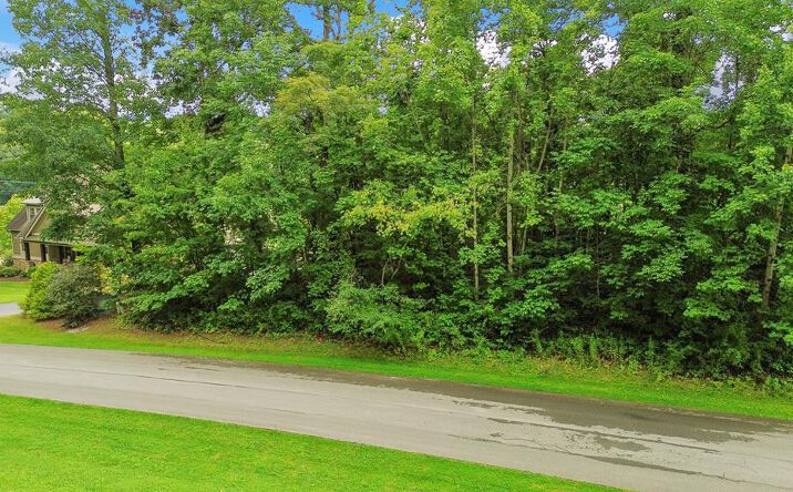 Pictures of Land, Multifamily property located at TBD Stonewall Ridge Lot #34, Bristol, VA 24202 for sales - image #1