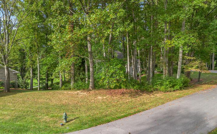 Pictures of Land, Multifamily property located at TBD Rocky Top Rdg Lot #89, Bristol, VA 24202 for sales - image #1