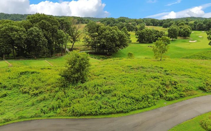 Pictures of Land, Multifamily property located at TBD Tbd Prospect Place Unit # Lot 178, Bristol, VA 24202 for sales - image #1