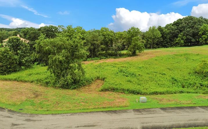 Pictures of Land, Multifamily property located at TBD Exclamation Point Unit # Lot 187, Bristol, VA 24202 for sales - image #1