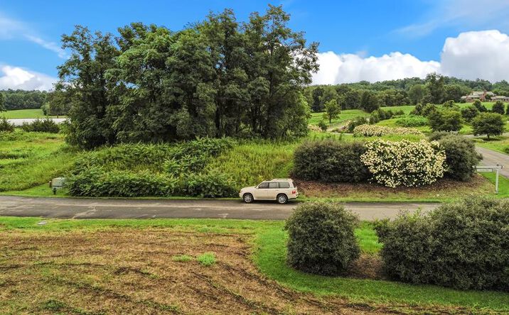 Pictures of Land, Multifamily property located at TBD Scenic Way Unit # Lot 194, Bristol, VA 24202 for sales - image #1