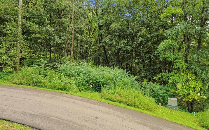 Pictures of Land, Multifamily property located at TBD Washington Way Unit # Lot 203, Bristol, VA 24202 for sales - image #1