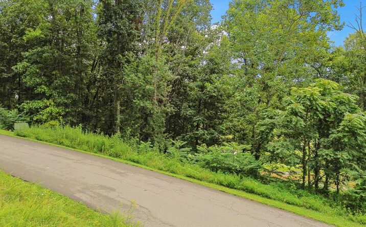 Pictures of Land, Multifamily property located at TBD Washington Way Unit # Lot 202, Bristol, VA 24202 for sales - image #1