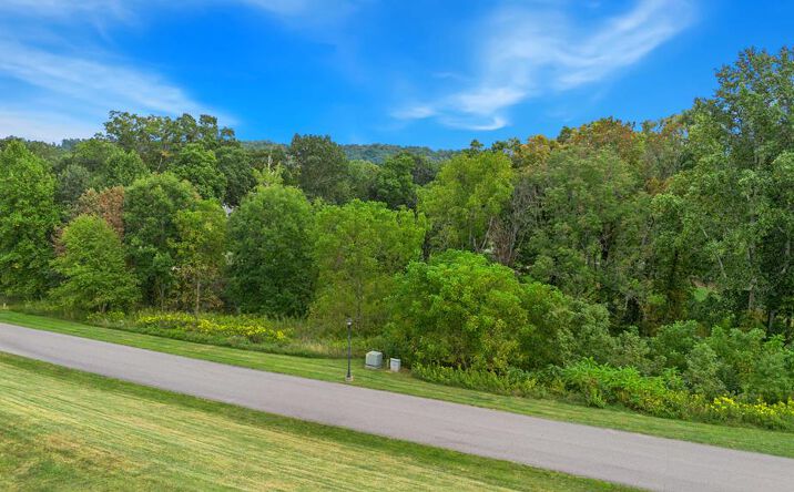 Pictures of Land, Multifamily property located at TBD Washington Way #199, Bristol, VA 24202 for sales - image #1
