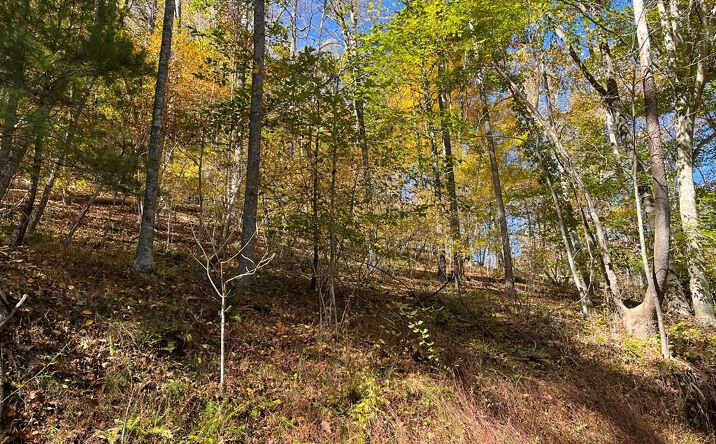 Pictures of Land property located at Tbd Grayson Parkway, Galax, VA 24333 for sales - image #1
