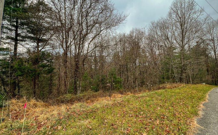 Pictures of Land, Multifamily property located at Lot 115 Old Hollow Trail, Fancy Gap, VA 24328 for sales - image #1