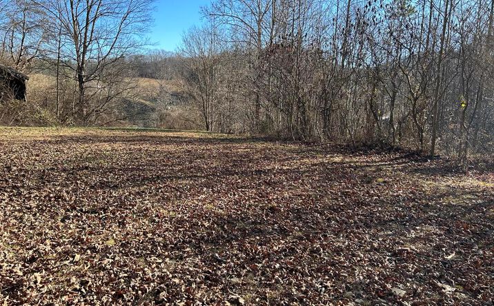 Pictures of Land, Multifamily property located at TBD Horton Ridge Rd, Swords Creek, VA 24649 for sales - image #1