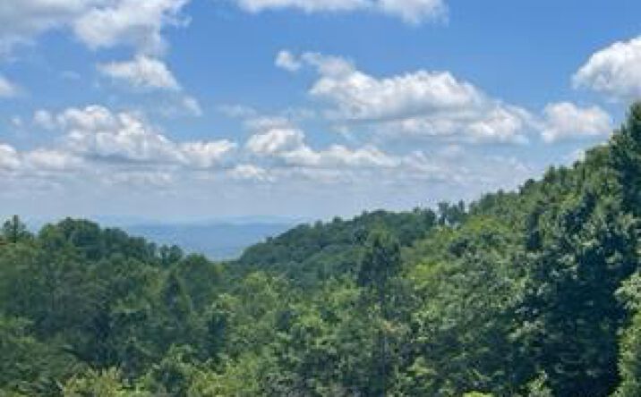 Pictures of Land, Multifamily property located at 362 Hunter's Path, Fancy Gap, VA 24328 for sales - image #1