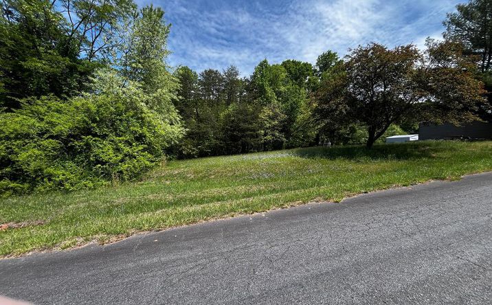 Pictures of Land, Multifamily property located at Virgilina Circle, Cana, VA 24317 for sales - image #1
