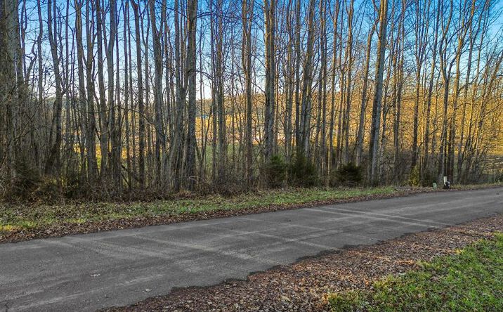 Pictures of Land property located at 0 Village Loop, Abingdon, VA 24210 for sales - image #1