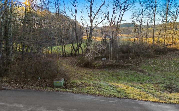 Pictures of Land property located at 0 Village Loop, Abingdon, VA 24210 for sales - image #1