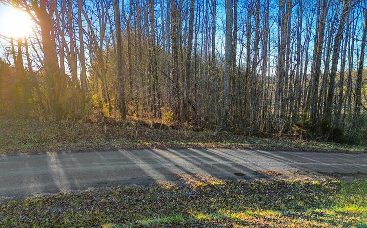 Pictures of Land property located at 0 Village Loop, Abingdon, VA 24210 for sales - image #1