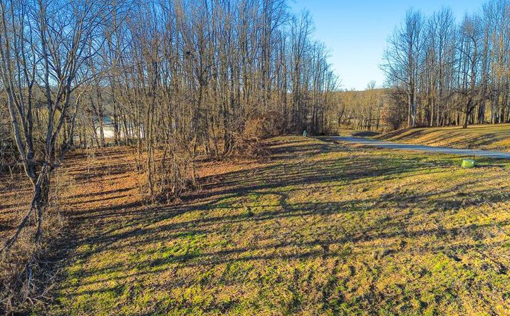 Pictures of Land property located at 0 Village Loop, Abingdon, VA 24210 for sales - image #1