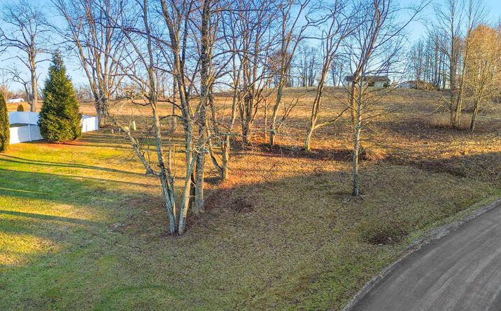 Pictures of Land property located at 0 Village Loop, Abingdon, VA 24210 for sales - image #1