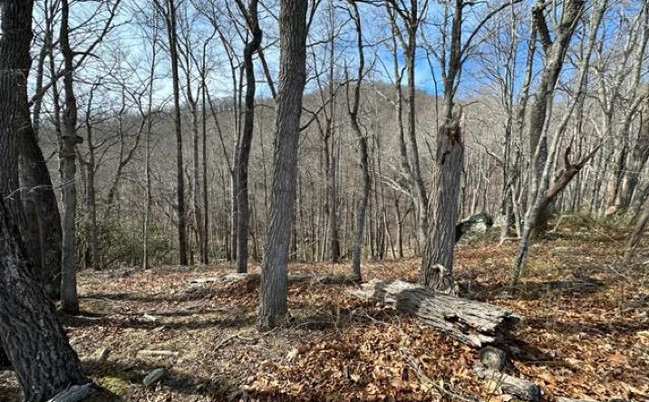 Pictures of Land, Multifamily property located at 107 Point Lookout Ln., Independence, VA 24348 for sales - image #1