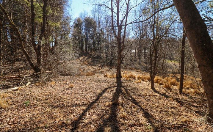 Pictures of Land property located at Lot 65 Southern View Trail, Fancy Gap, VA 24328 for sales - image #1