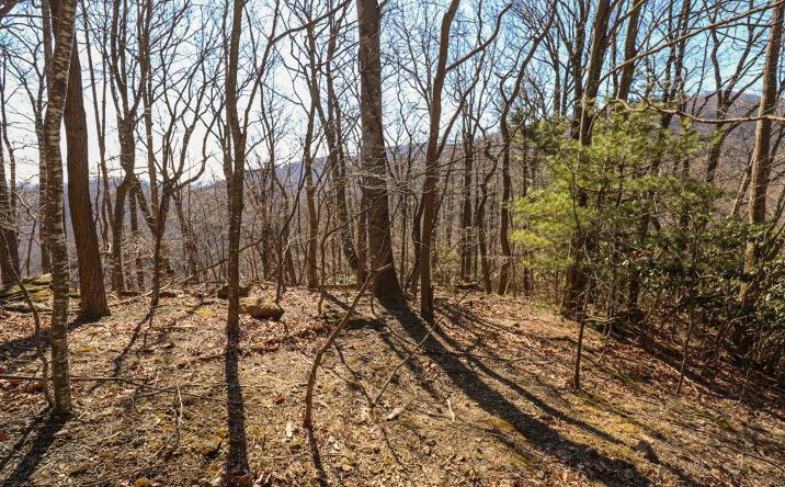 Pictures of Land, Multifamily property located at Lot 75 Black Gum Trail, Fancy Gap, VA 24328 for sales - image #1