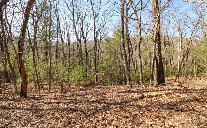 Pictures of Land, Multifamily property located at C11-C12 Little Ridge Trail, Fancy Gap, VA 24328 for sales - image #1
