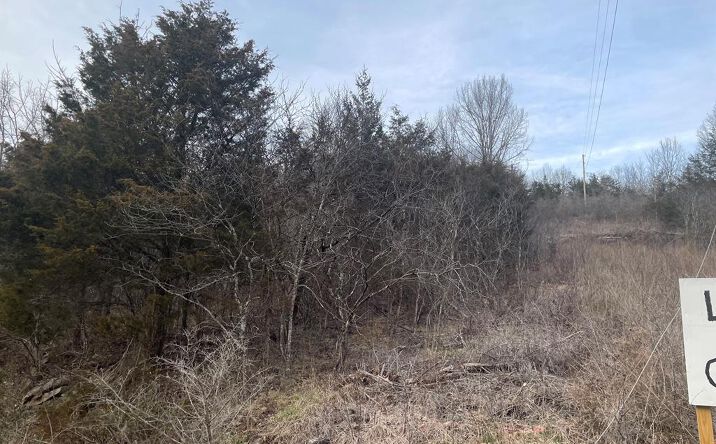 Pictures of Land, Multifamily property located at TBD Martin Farm Rd, Cedar Bluff, VA 24609 for sales - image #1