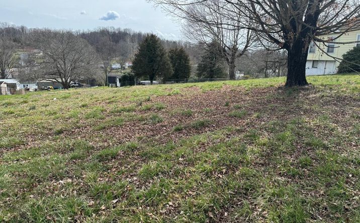 Pictures of Land, Multifamily property located at TBD Massachusetts Ave, Bristol, VA 24201 for sales - image #1