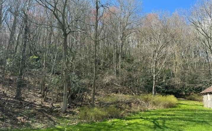 Pictures of Land property located at TBD Broadway Rd, Wytheville, VA 24382 for sales - image #1