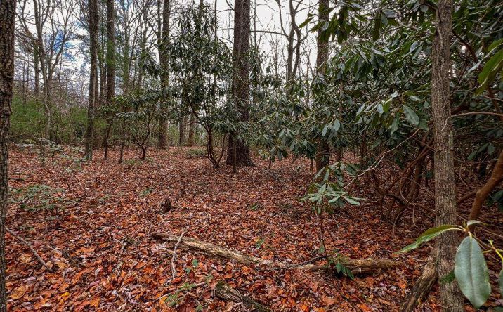 Pictures of Land, Multifamily property located at 00 Stillhouse Tr, Fancy Gap, VA 24328 for sales - image #1