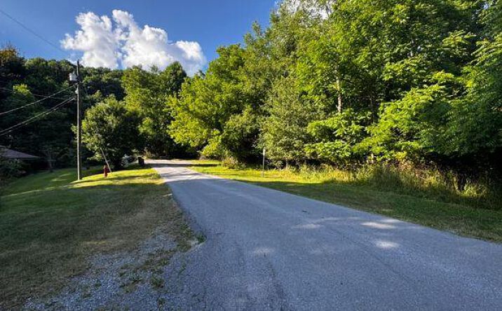Pictures of Land, Multifamily property located at TBD Neel & Vencil, Bluefield, VA 24605 for sales - image #1