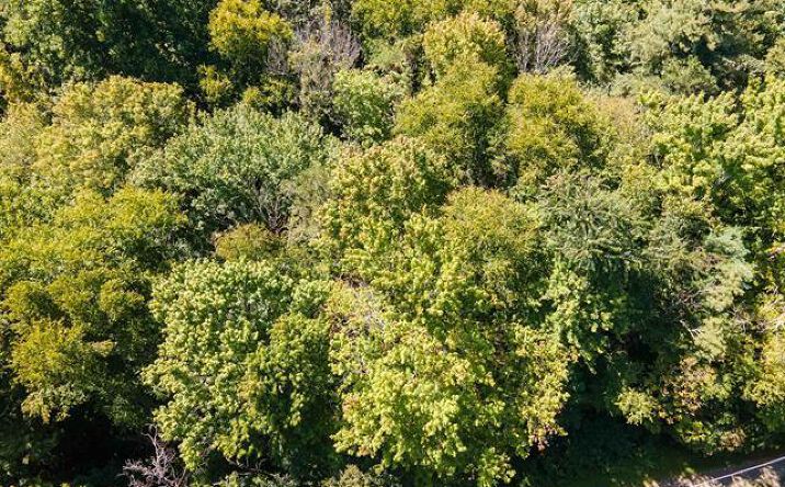 Pictures of Land, Multifamily property located at 0 Pine Ln, Meadows of Dan, VA 24120 for sales - image #1