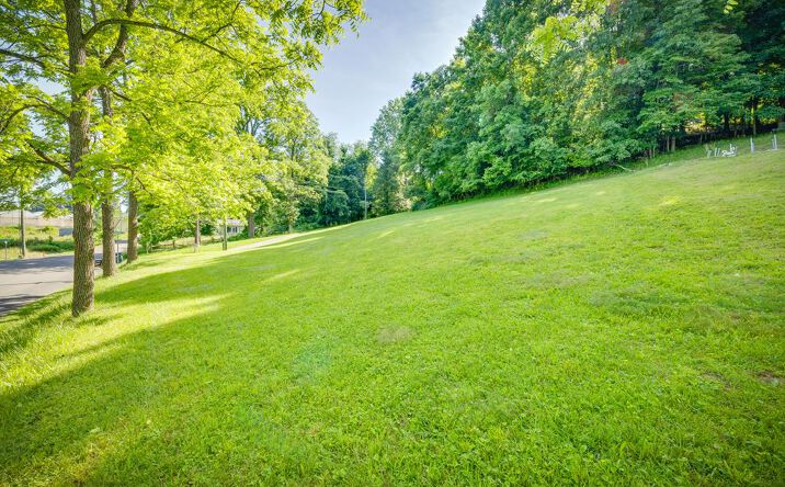 Pictures of Land, Multifamily property located at TBD Wallace Pike, Bristol, VA 24201 for sales - image #1