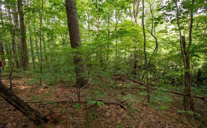 Pictures of Land, Multifamily property located at Lot 28 Manor House Dr, Laurel Fork, VA 24352 for sales - image #1