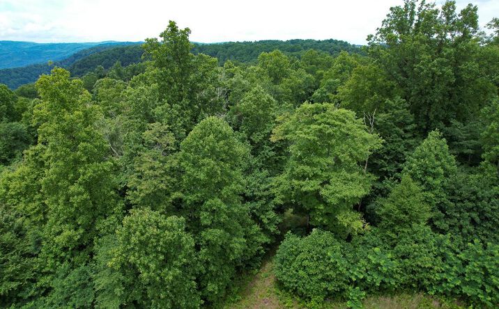 Pictures of Land, Multifamily property located at TBD Pheasant Chase, Ararat, VA 24053 for sales - image #1