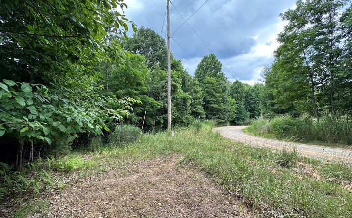 Pictures of Land, Multifamily property located at TBD 0 Live Oak Ln, Galax, VA 24333 for sales - image #1