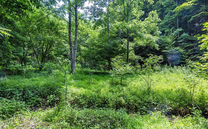 Pictures of Land, Multifamily property located at Lot 9 Lone Star Road, Bristol, VA 24202 for sales - image #1