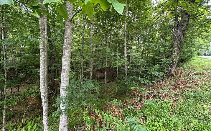 Pictures of Land, Multifamily property located at 0 Fries Road/Foxfire Ln, Galax, VA 24333 for sales - image #1