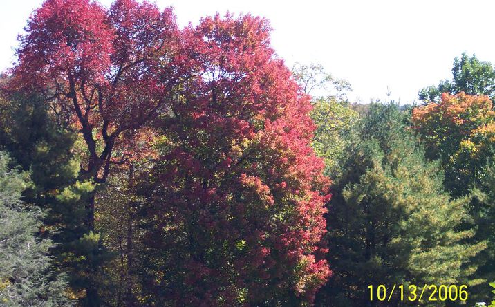 Pictures of Land, Multifamily property located at TBD Continental Drive, Hillsville, VA 24343 for sales - image #1