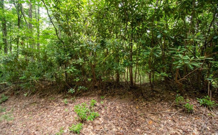 Pictures of Land, Multifamily property located at Lot F9 Fariss Trail, Fancy Gap, VA 24328 for sales - image #1