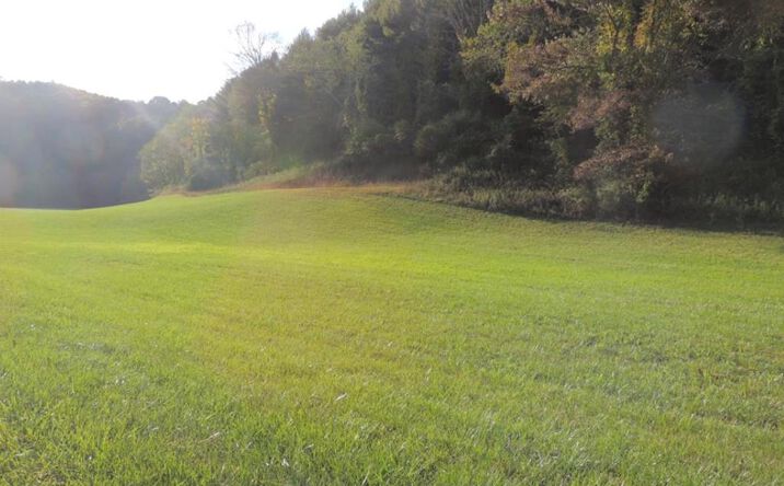 Pictures of Land property located at TBD Gambetta Road, Galax, VA 24333 for sales - image #1