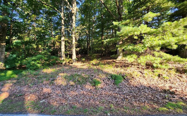 Pictures of Land, Multifamily property located at TBD Panorama Dr, Fancy Gap, VA 24328 for sales - image #1