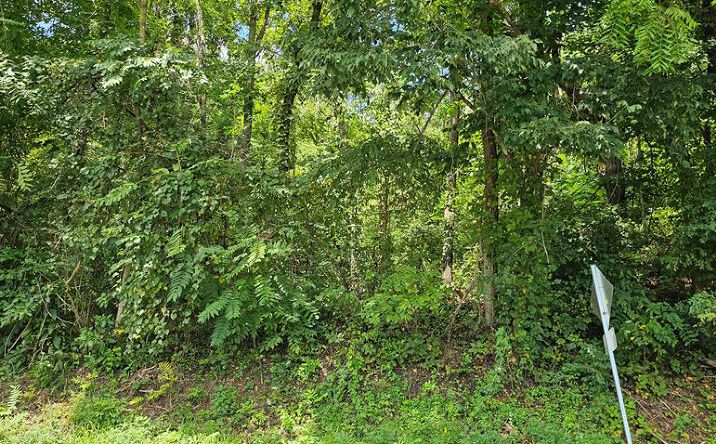 Pictures of Land property located at TBD Green Spring Road, Abingdon, VA 24210 for sales - image #1