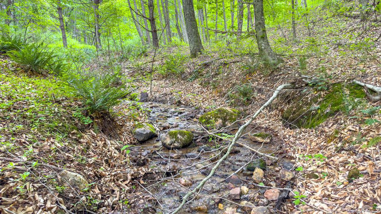 34 Acres Apache Rd, Woodlawn, VA 24381 | Crexi.com